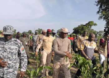 DR: Nigerdiaspora