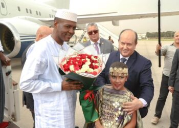Sur invitation PM Abdoulaye Maiga s'est rendu en Algérie